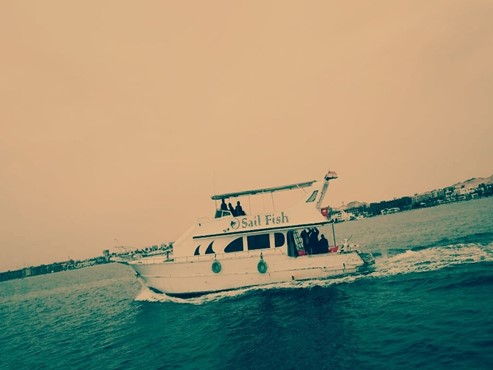 Sail Fish boat