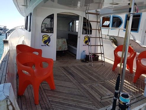 Sail Fish boat