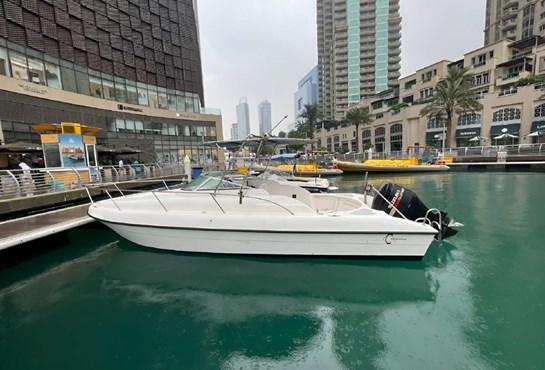 Speedboat 30ft | AED325/Hour