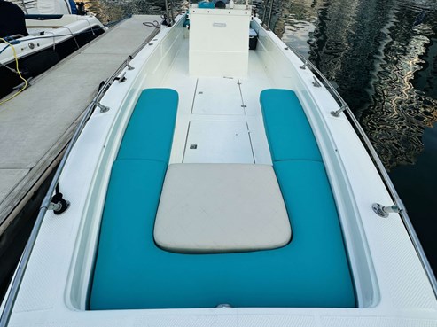 Speedboat 30ft | AED325/Hour