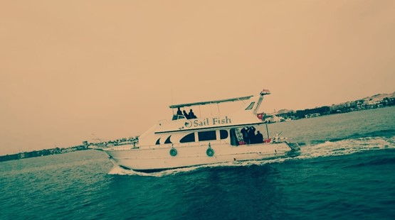 Sail Fish boat