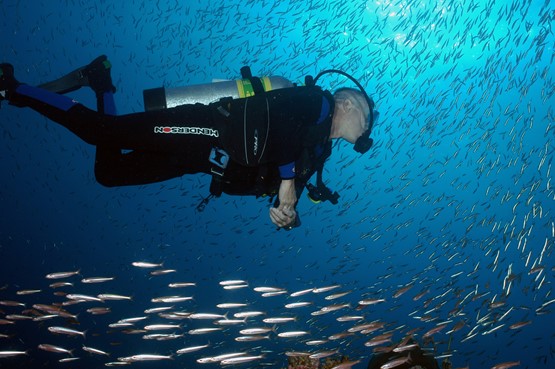 Intro Diving - 2 Dives